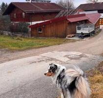 Einfamilienhaus im idyllischen Dorf, mit allem - Tuntenhausen
