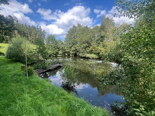 Foto - Erster Monat kostenlos! Naturparadies zur Pacht: Idyllische Parzellen an zwei BadeseenTeichen