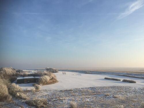 Foto - Etagenwohnung in Sankt Peter-Ording zum Kaufen