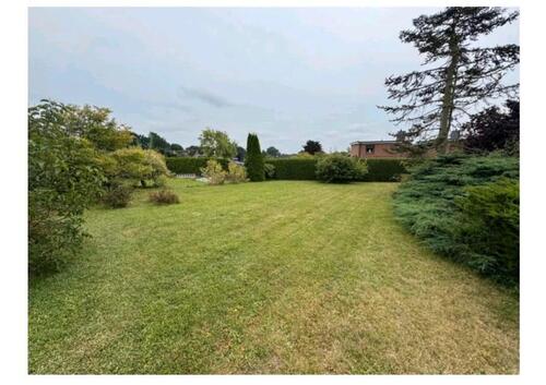 Foto - 4 Zimmer Bungalow in Bad Oldesloe