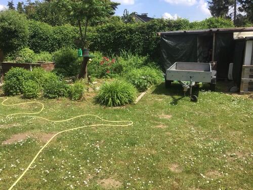 Foto - Bungalow in Hitzacker (Elbe) zum Kaufen