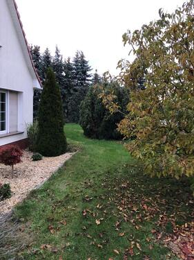 Foto - Einfamilienhaus in Großräschen zum Kaufen