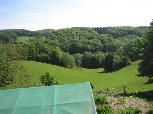 Foto - Einfamilienhaus in Windeck zum Kaufen