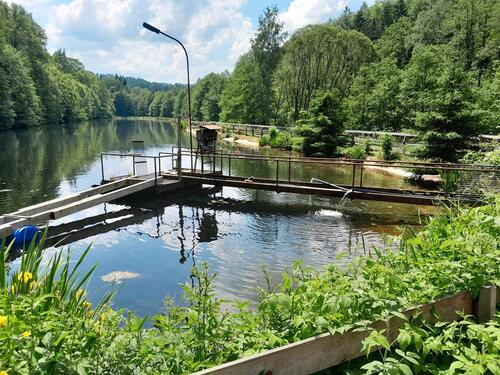 Foto - Werbefläche im Wolkensteiner Angelpark