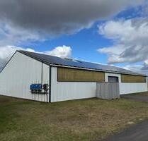 2 Hallen zu vermieten - 3.200,00&nbsp;EUR Kaltmiete, ca.&nbsp; 2,50&nbsp;m&sup2; in Hörselberg-Hainich (PLZ: 99820)