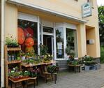 Foto - Ladengeschäft Büro im historischen Stadtzentrum Glauchau