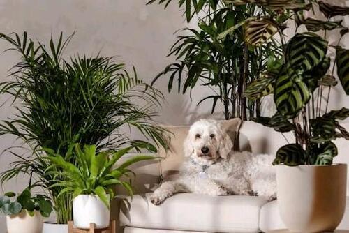 Foto - * 2,5 helle, Ruhige, Kinder- & Tierfreundliche DG-Wohnung *