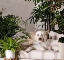 * 2,5 helle, Ruhige, Kinder- & Tierfreundliche DG-Wohnung * - Lohr am Main