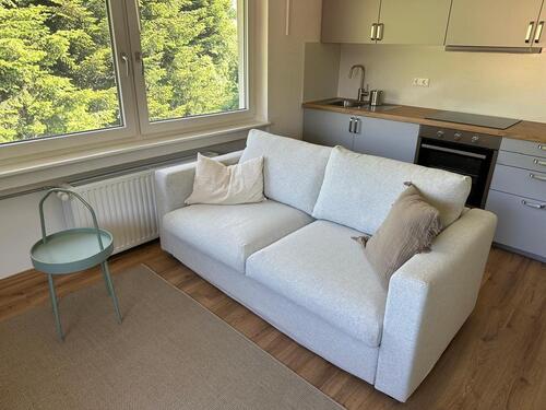 Foto - 2-Zimmer-Wohnung mit Küche und Bad voll möbliert ab sofort