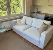 2-Zimmer-Wohnung mit Küche und Bad voll möbliert ab sofort - Seebach