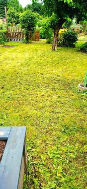 Foto - Grundst&uuml;ck zur Miete in Heidenau