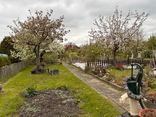 Foto - Schrebergarten mit Holzhaus und Schuppen