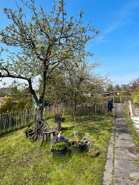 Foto - Grundst&uuml;ck zur Miete in Emden