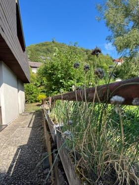 Foto - Einfamilienhaus in Küssaberg zum Kaufen