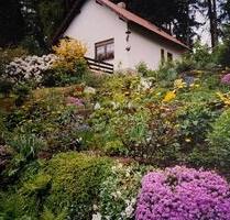 Gartenhaus Wochenendhaus in Suhl