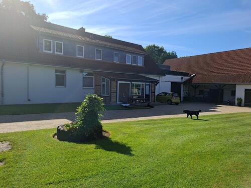 Foto - 7 Zimmer Mehrfamilienhaus, Wohnhaus zum Kaufen in Schwarmstedt