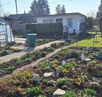 Schöner Kleingarten - 3.000,00&nbsp;EUR Kaltmiete, ca.&nbsp; 0,00&nbsp;m&sup2; in Dresden (PLZ: 01259) Leuben