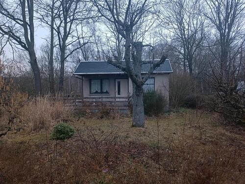 Foto - Pachtgarten, Kleingarten, Garten