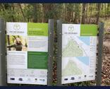 Foto - andere in Heringsdorf