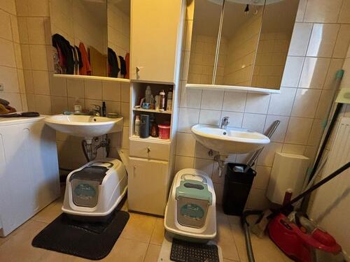 Foto - 2 Zimmer Erdgeschoßwohnung in Celle