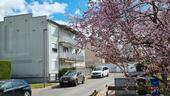 Foto - Bad Homburg Obererlenbach, helle gemütliche 3 Zimmer + Garage