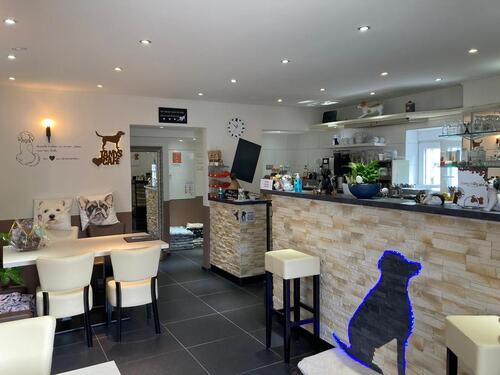 Foto - andere zur Miete in Solingen