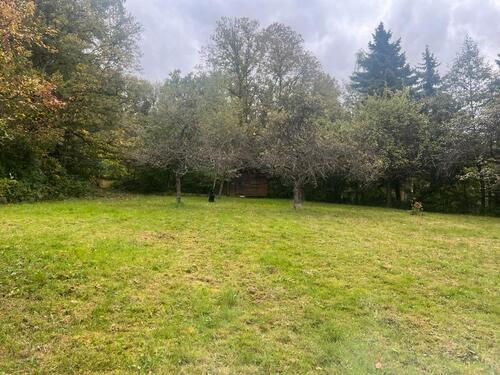 Foto - Schönes Freizeitgrundstück in Kronberg mit großer Hütte