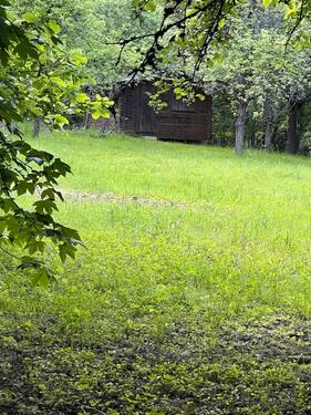 Foto - Grundstück in Kronberg im Taunus zur Miete