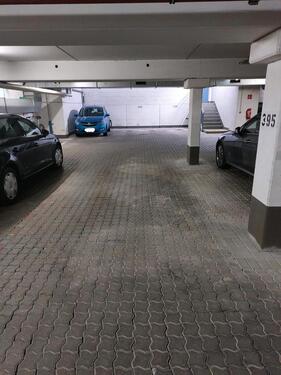 Foto - andere in Dresden