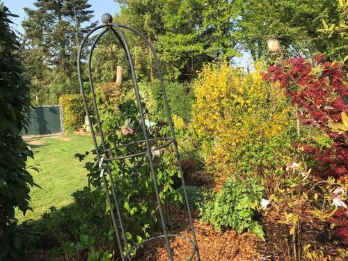 Foto - Grundstück in Oberursel (Taunus) zur Miete