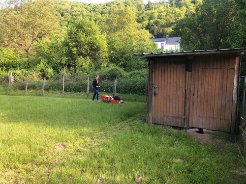 Foto - Garten Gartengrundstück Freizeitgrundstück Hundewiese