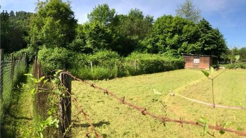 Foto - Grundstück in Dieblich
