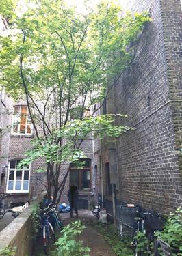 Foto - Einfamilienhaus in Aachen zum Kaufen