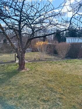 Foto - Grundst&uuml;ck in Großenhain