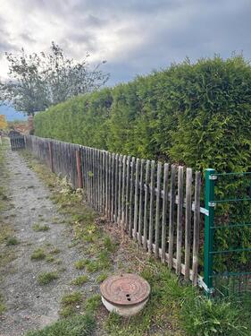 Foto - kleingarten in Kleingartenverein Gartenglück e.V.