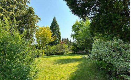 Foto - 5 Zimmer Einfamilienhaus in Kalefeld