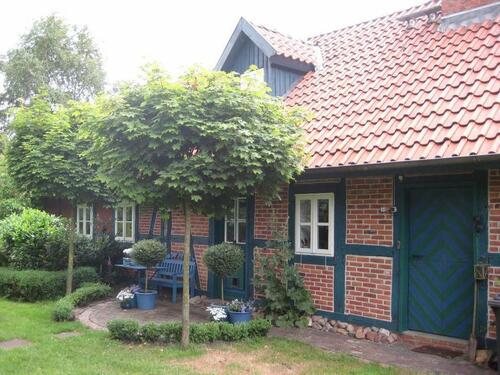 Foto - Ferienhaus Worpswede 4 Personen Haustiere Kamin Garten Teich