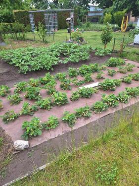 Foto - Grundstück in Plau am See zur Miete