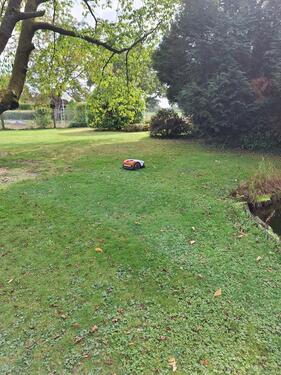 Foto - 5 Zimmer Einfamilienhaus zur Miete in Grevenbroich