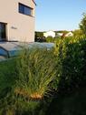 Foto - 7 Zimmer Einfamilienhaus zum Kaufen in Bockhorn