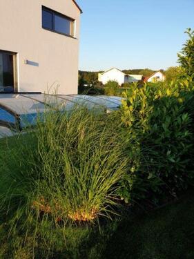 Foto - 7 Zimmer Einfamilienhaus zum Kaufen in Bockhorn