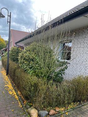 Foto - Moderne Wohnung im Zentrum von Bad Rothenfelde