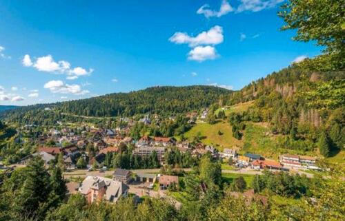 Foto - 3 Zimmerwohnung in Todtmoos zu vermieten