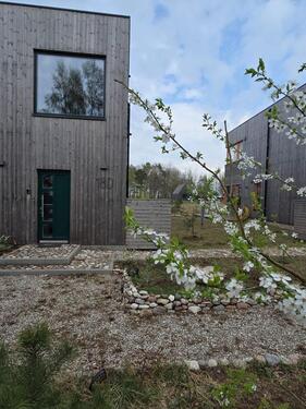 Foto - Einfamilienhaus in Litauen zu vermietenzu verkaufen