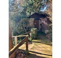 Kleines idyllisches Waldhäuschen mit einzigartigem Waldgrundstück - Hardegsen