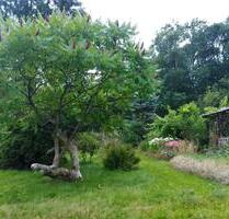 ca. 800m² Pachtgarten (Colmnitzbei Klingenberg)