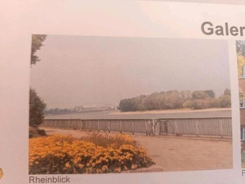 Foto - Lage! Lage! Lage! 75 qm in Köln Niehl