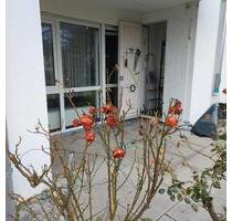 Zentrumsnah 2-Zimmer Erdgeschoss Wohnung - Ulm Donautal