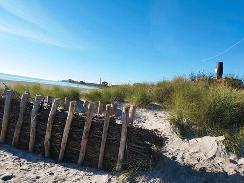Foto - andere zur Miete in Damp