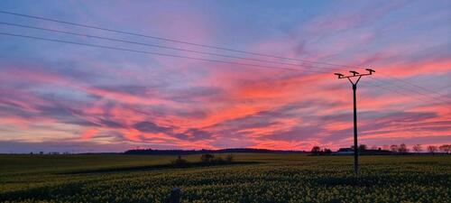 Foto - Einfamilienhaus in Neubrandenburg zur Miete